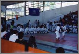 Sudamericano 1990